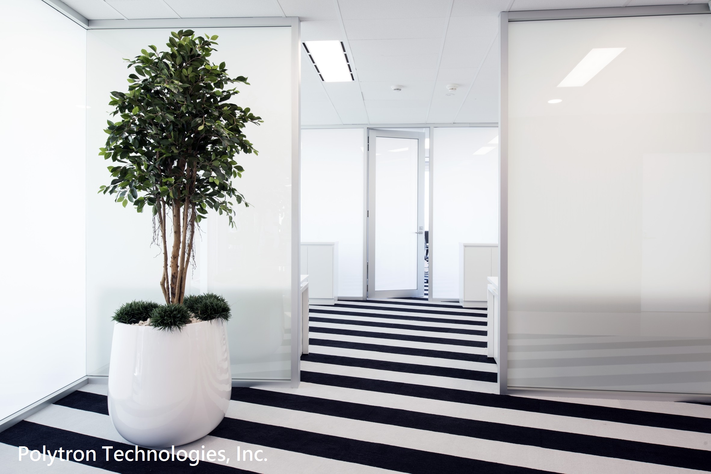 Switchable Privacy Film&Glass